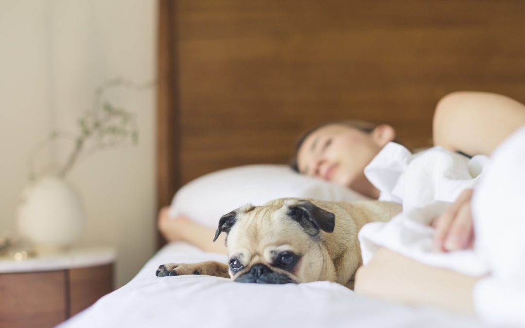 How Much Does Sleep Really Matter?