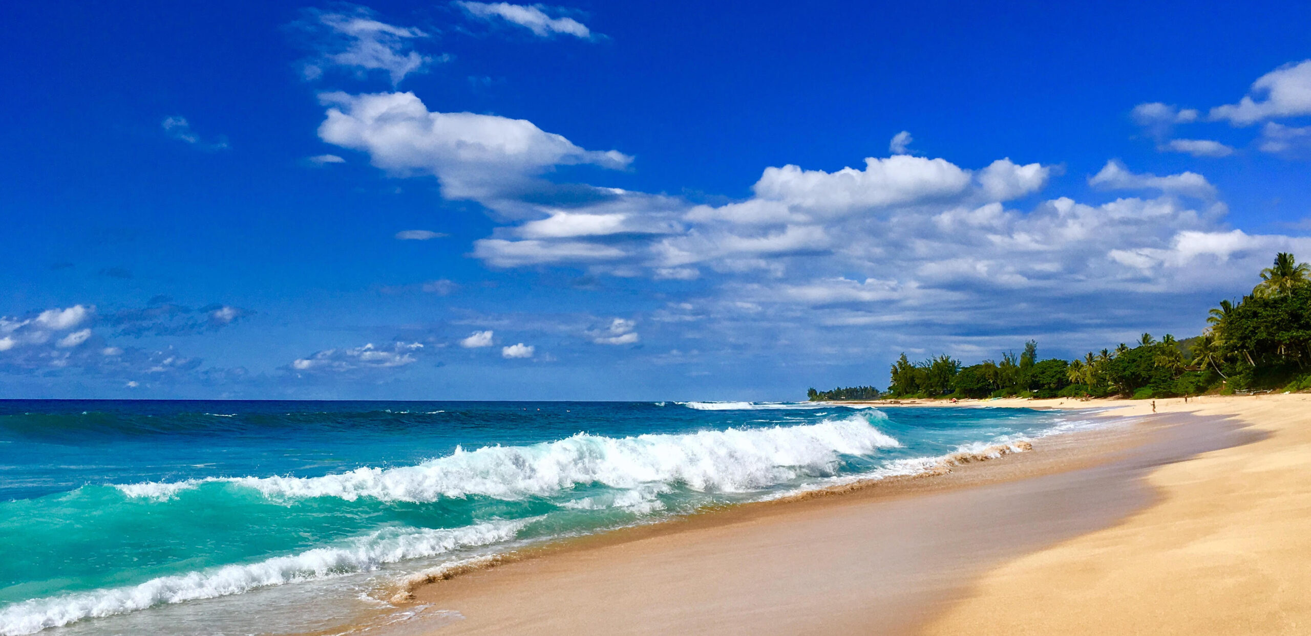 hawaii beach2