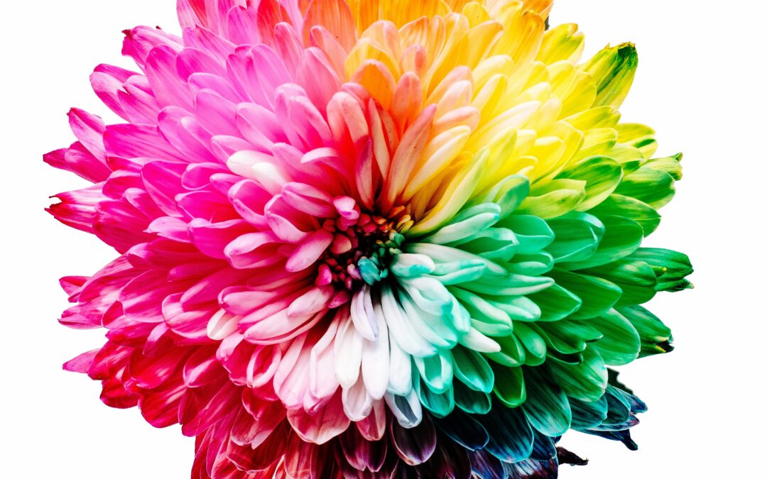 Elevating Minority Voices: Prioritizing Mental Health in Minority Communities