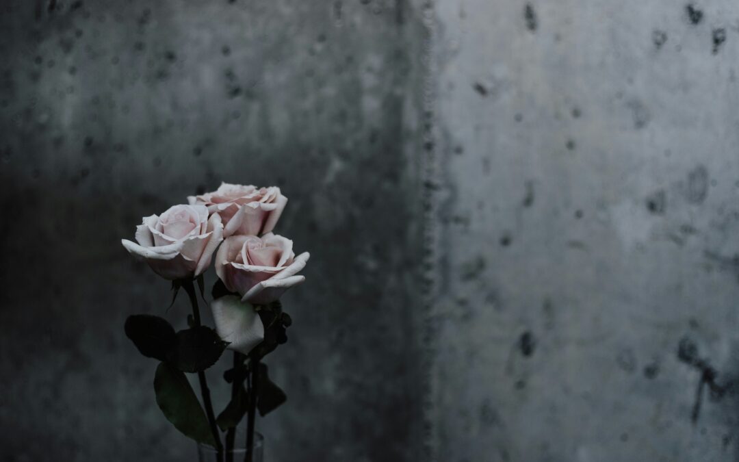 You Are Not Alone: Honoring Survivors of Suicide Loss